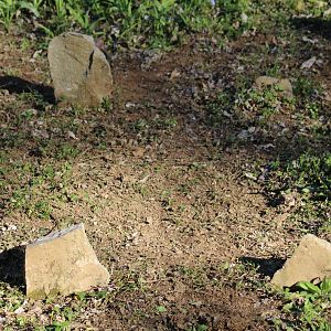 Unmarked Slave Graves