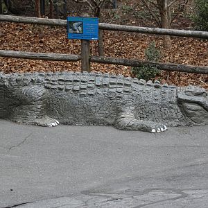 Alligator Replica