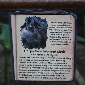 Sloth Signage