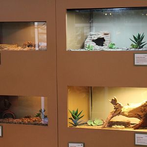 SMNC-View of Terrariums