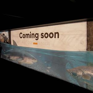 Sign for upcoming attraction