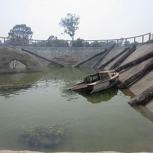 Aquarium view of Shark pool