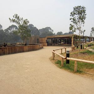 Australian Walkthrough