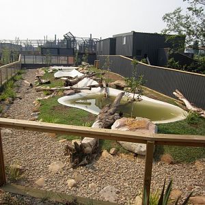 Capybara enclosure