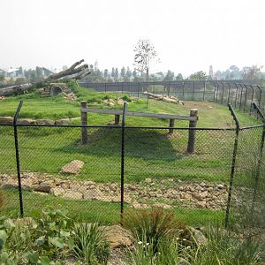 Cheetah Enclosure