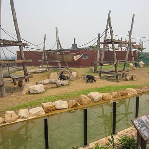 Chimpanzee Enclosure