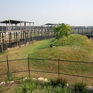 Hyena Exhibit