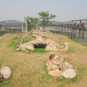 Lion enclosure