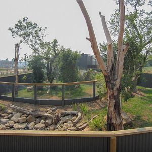 Red Panda enclosures