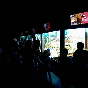 Reptile House Interior