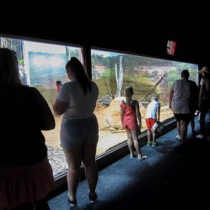 Reptile House Interior