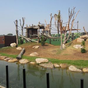 Spider Monkey Exhibit