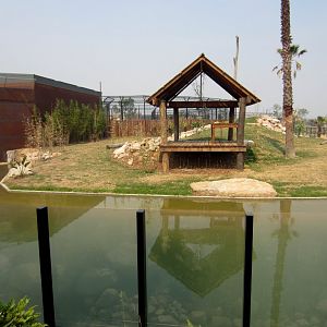 Sumatran Tiger exhibit
