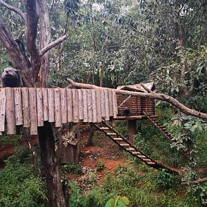 Binturong exhibition