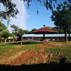 African herbivores exhibition