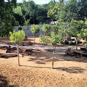 Eurasia herbivores exhibition