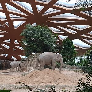 Kaeng Krachan Elephant Park