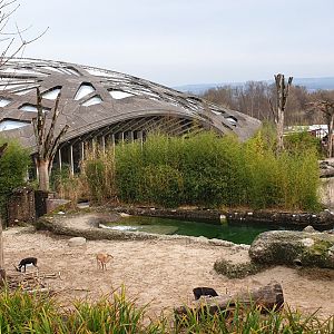 Kaeng Krachan Elephant Park