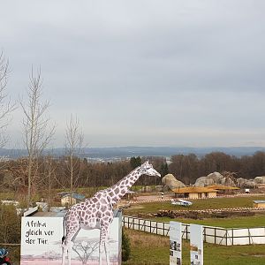 Lewa savanna is coming soon