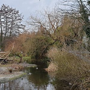 Selenga Eurasian Wetlands