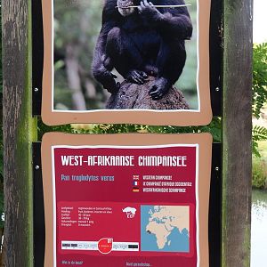 Signage example - Western chimpanzee, 2019-09-15