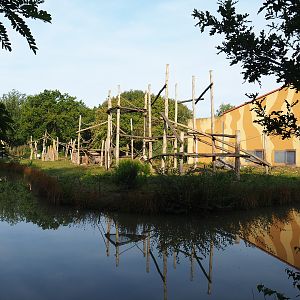 First Western chimpanzee island, 2019-09-15