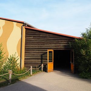 Access to the Western chimpanzee, Western lowland gorilla and black crested mangabey house, 2019-09-15