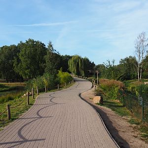 Example of the walking safari pathways near the first lion exhibit and the first gorilla island, 2019-09-15