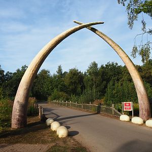 Former access to the car safari,  2019-09-15