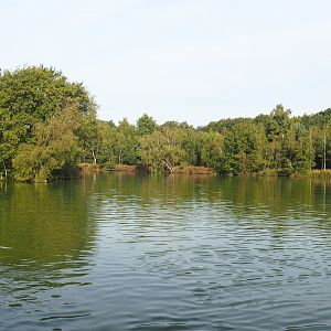 Safari boat canal,  2019-09-15