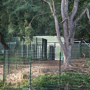 Greater kudu and impala stable and separation paddocks,  2019-09-15