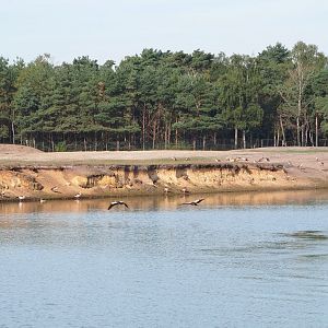 Asian paddock, 2019-09-15