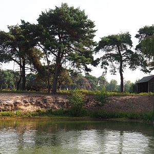 Blackbuck exhibit, 2019-09-15
