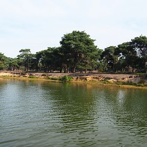 Blackbuck exhibit, 2019-09-15