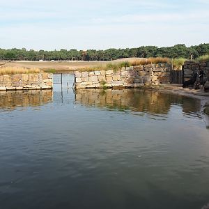 California sea lion holding exhibit, 2019-09-15