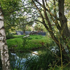 Original ring-tailed lemur island - Now refuge area within walk-through area, 2019-09-15
