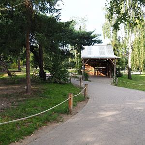 Ring-tailed lemur walk-through area, 2019-09-15