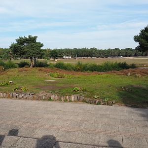 Raptor show arena, 2019-09-15