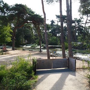 African penguin walk-through area, 2019-09-15