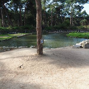 African penguin exhibit, 2019-09-15