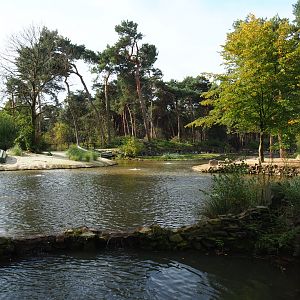 African penguin exhibit, 2019-09-15