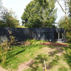 Ring-tailed lemur house,2019-09-15