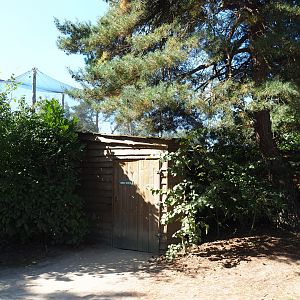 Access to African walk-into aviary, 2019-09-15