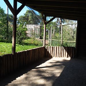 African walk-into aviary viewing area, 2019-09-15