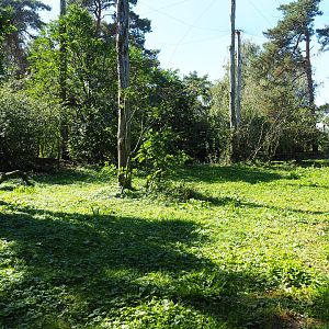 African walk-into aviary, 2019-09-15