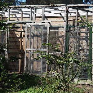 African aviary bird house and separation aviaries, 2019-09-15