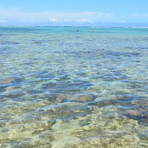 Clear waters and coral.  Rarotonga