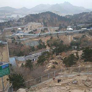 View Over Large Carnivore Complex (with bharal in foreground)