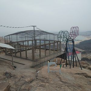 'Stuff' in Macaque Exhibit