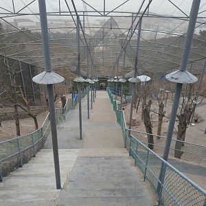 Walkthrough Aviary (with squirrel trails)